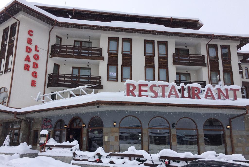 Studio In Cedar Lodge 3 Bansko Eksteriør billede